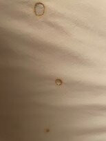 庞通海滩速8酒店主图