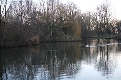 Fairlands Valley Park景点图片