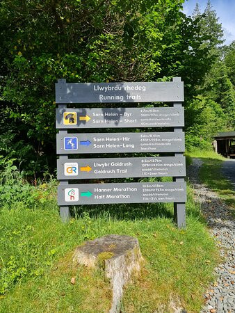 Coed y Brenin Forest Park景点图片