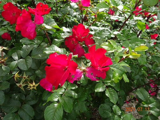 Michi-no-Eki Hot Haboro-羽幌町必去景点