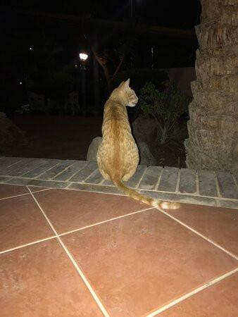 Turquoise Beach Hotel主图