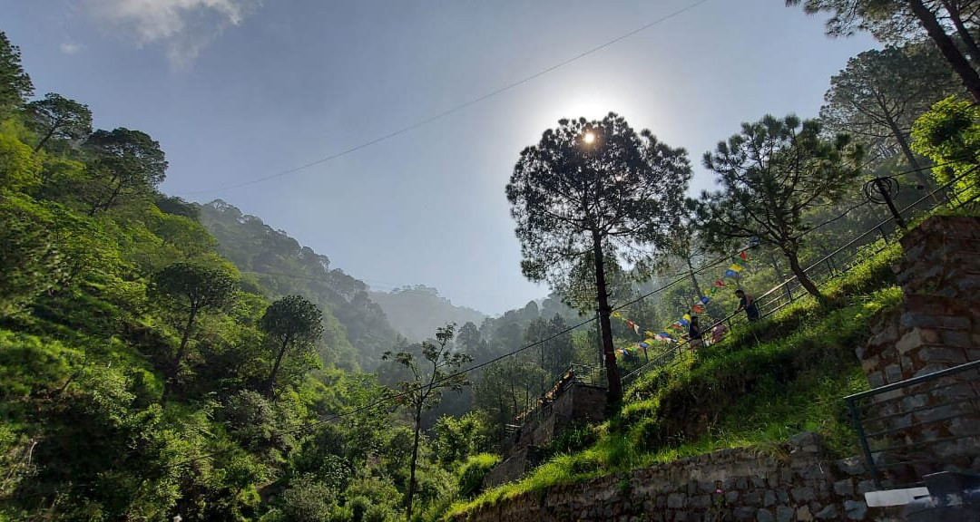 Safarmaina Resort主图