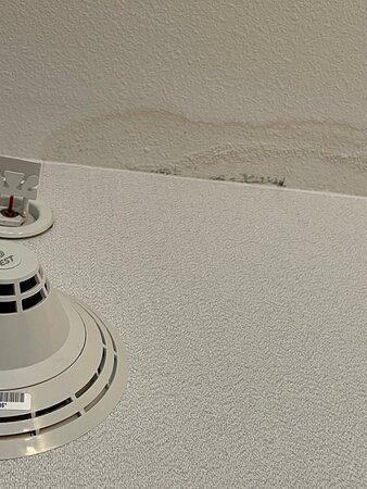 杰克逊市区希尔顿花园旅馆主图