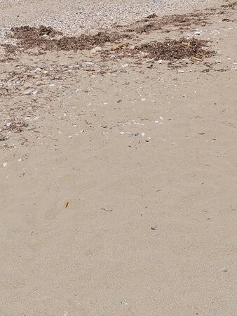 Fodele Beach-Fodele必去景点