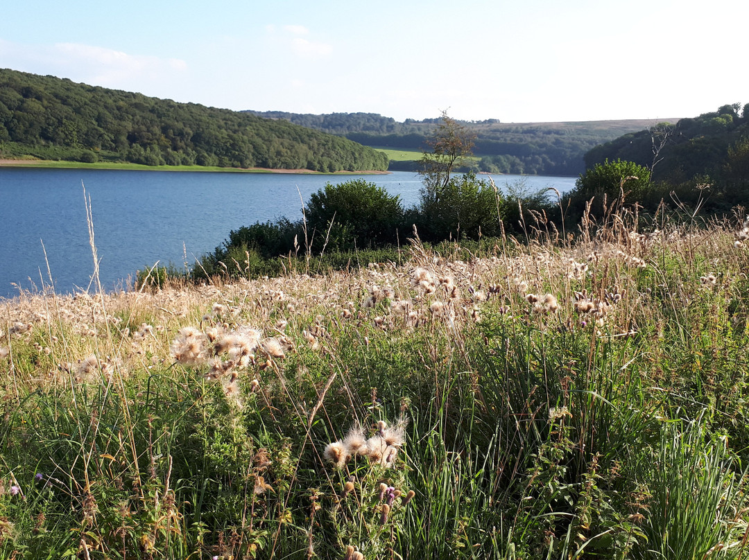 Wimbleball Lake Campsite