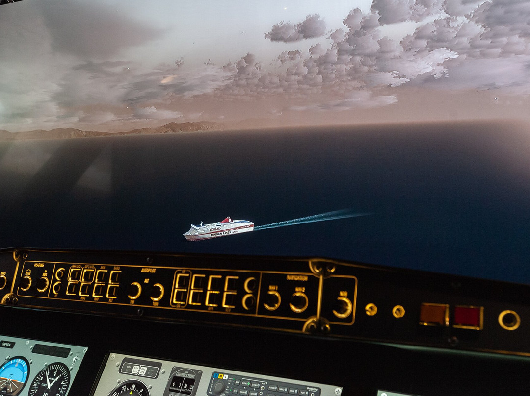 Virtual Pilot