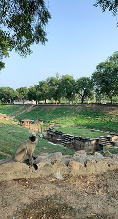 Sahasralinga Talav景点图片