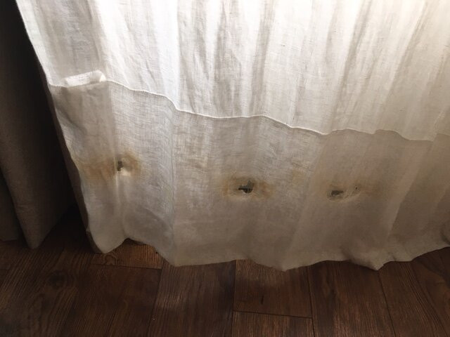 Wintergreen Resort主图