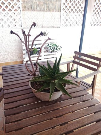 Bed and Breakfast da Salvatore主图