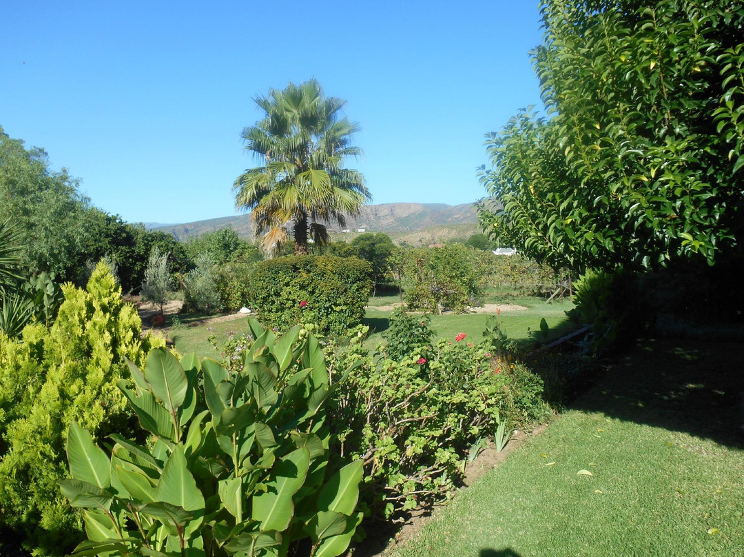 Calitzdorp酒店住宿-Karoo Life Bed & Breakfast