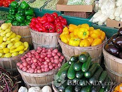 Westlawn Bed and Breakfast主图