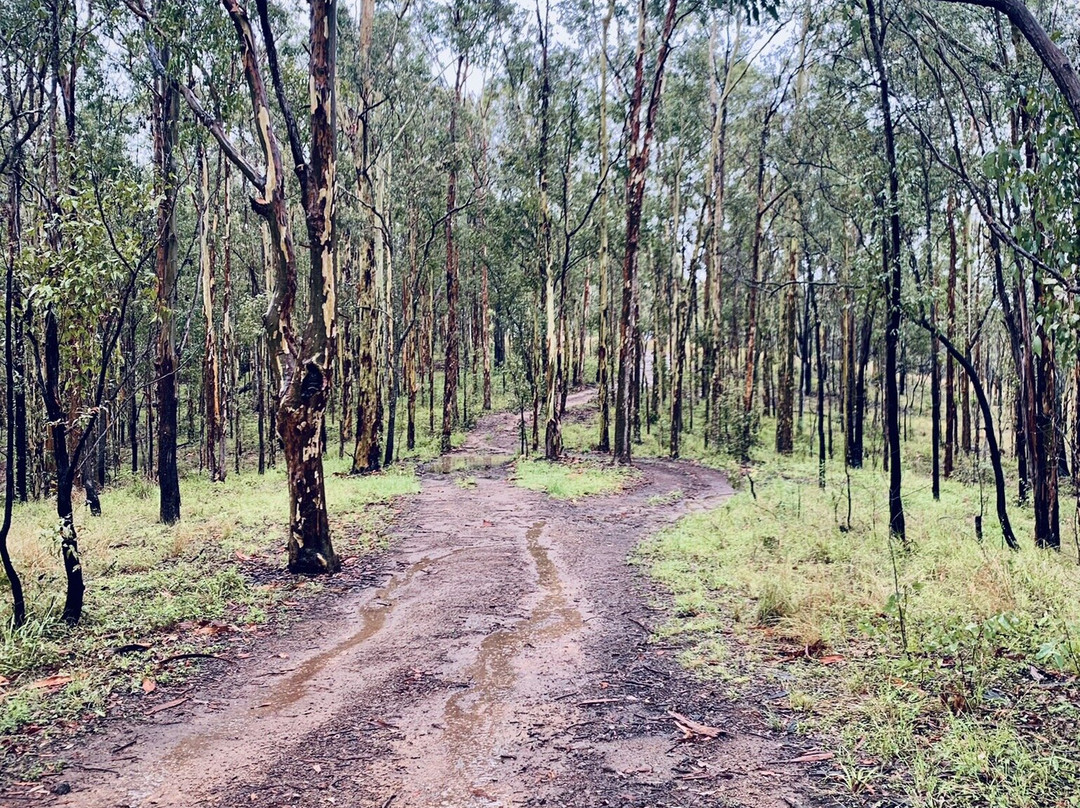 Emu Creek Retreat景点图片