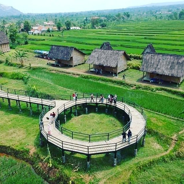 Kampung Budaya Padi Pandan Wangi景点图片