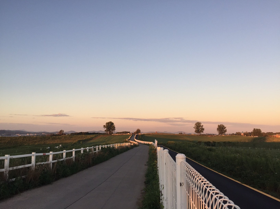 NACF Anseong Farmland