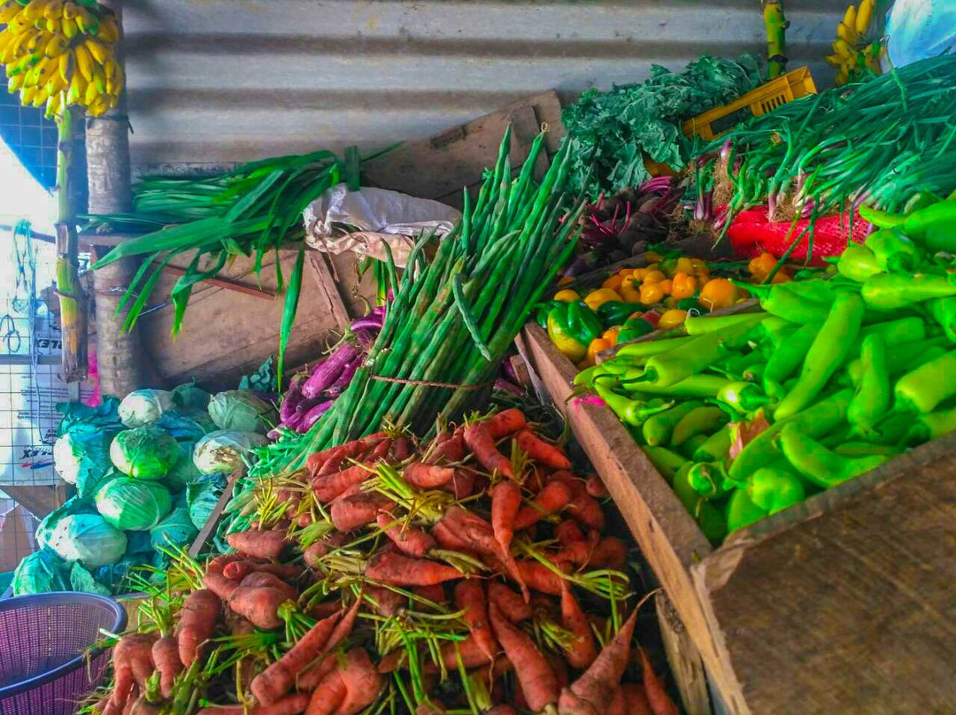 Priya Cookery Class-埃勒必去景点