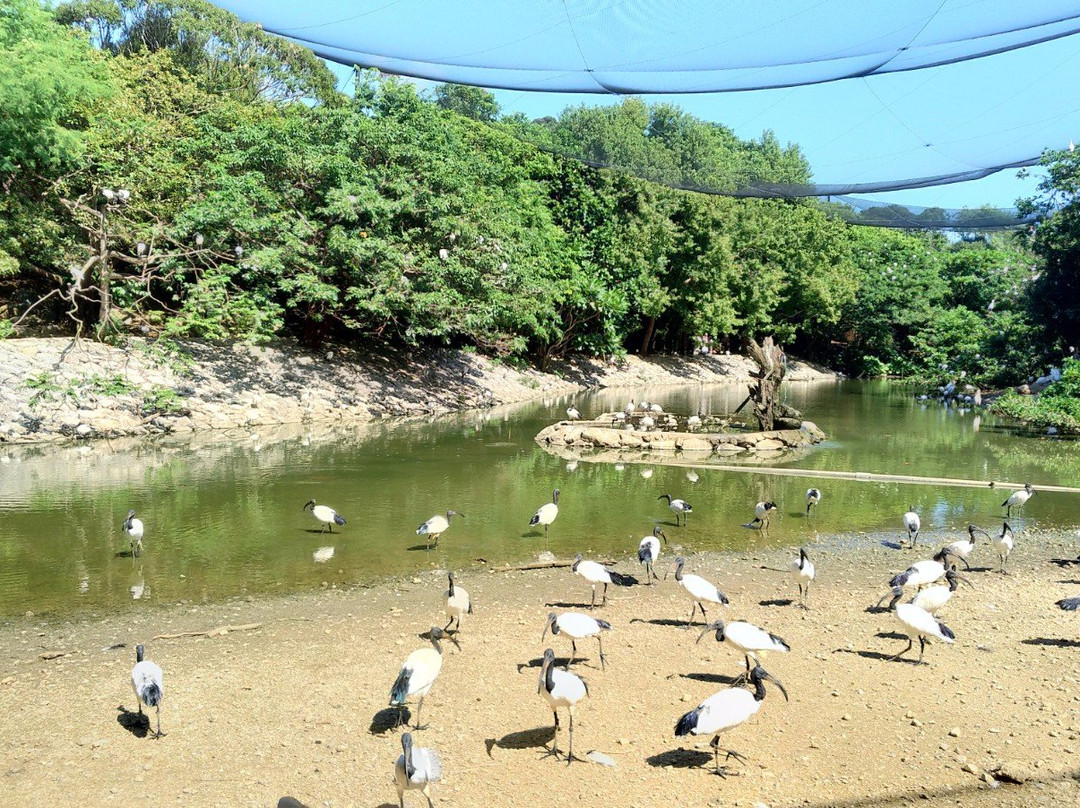 名护Neo自然动植物公园景点图片