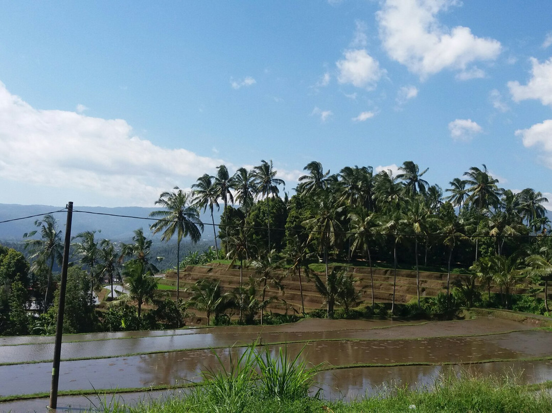 新加拉惹旅游攻略图片