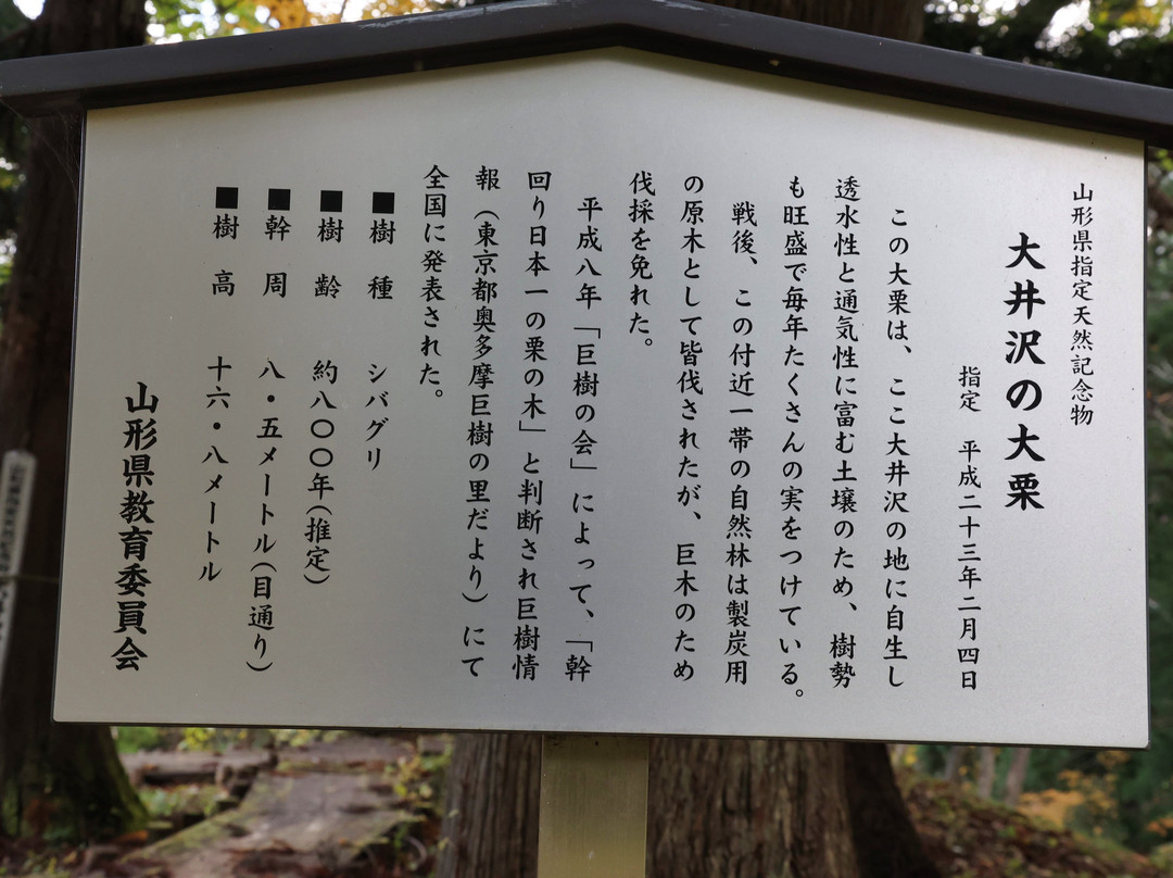 Oisawa no Oguri景点图片