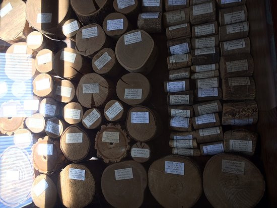 Botanical Garden of the Institute of Biosciences of Botucatu-Botucatu必去景点