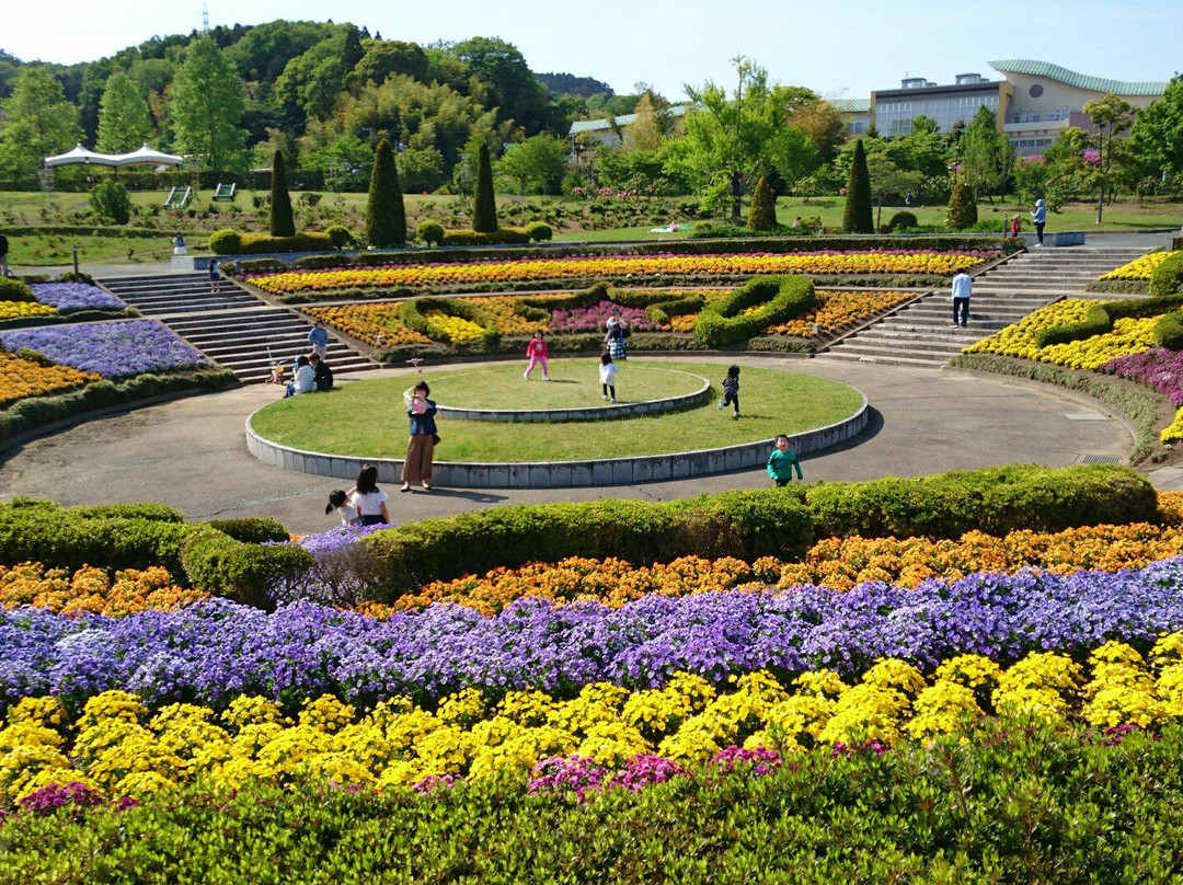 岩沼市旅游攻略图片