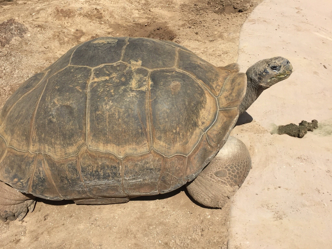 America's Teaching Zoo at Moorpark College-Moorpark必去景点