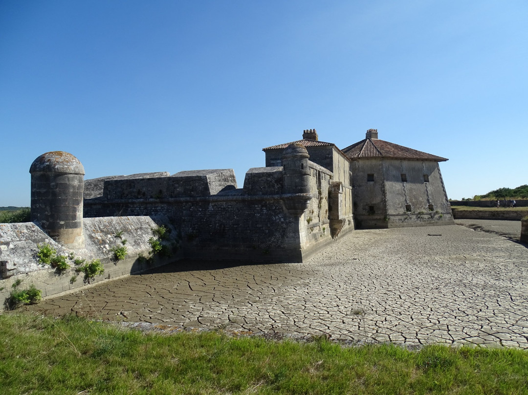 Saint Nazaire sur Charente旅游攻略图片