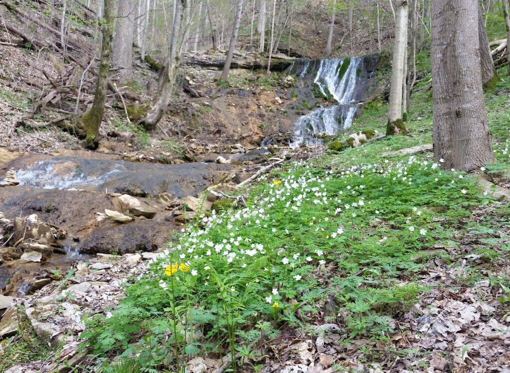 Emmert Falls Primitive Trail