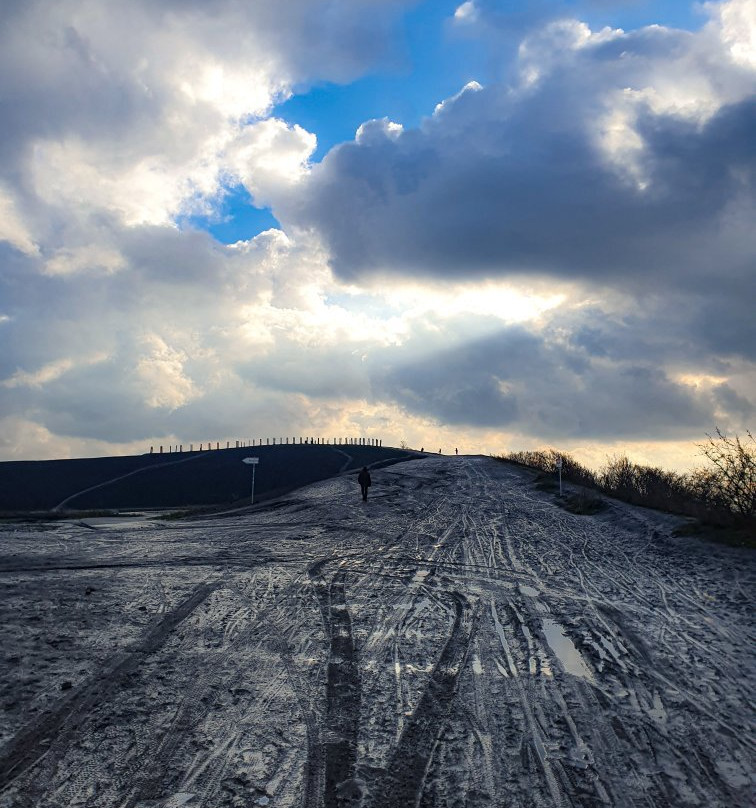 Halde Haniel (185m)景点图片