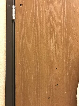 Comfort Suites University主图