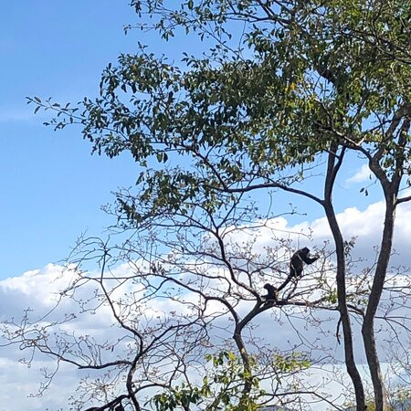 Happy Rides-瓜纳卡斯特省必去景点