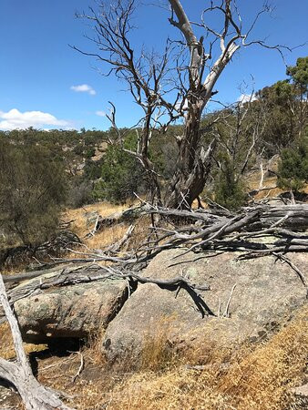 Mount Beckworth Scenic Reserve-Clunes必去景点