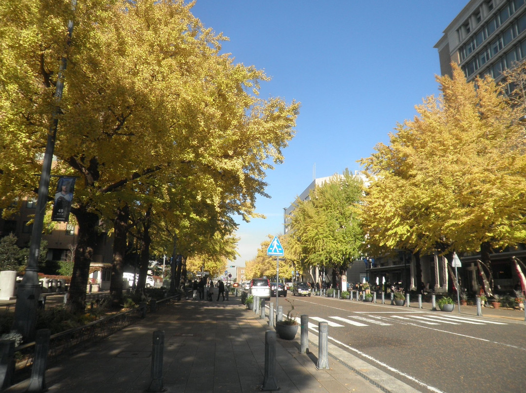 Nihon Odori Street-横滨市必去景点