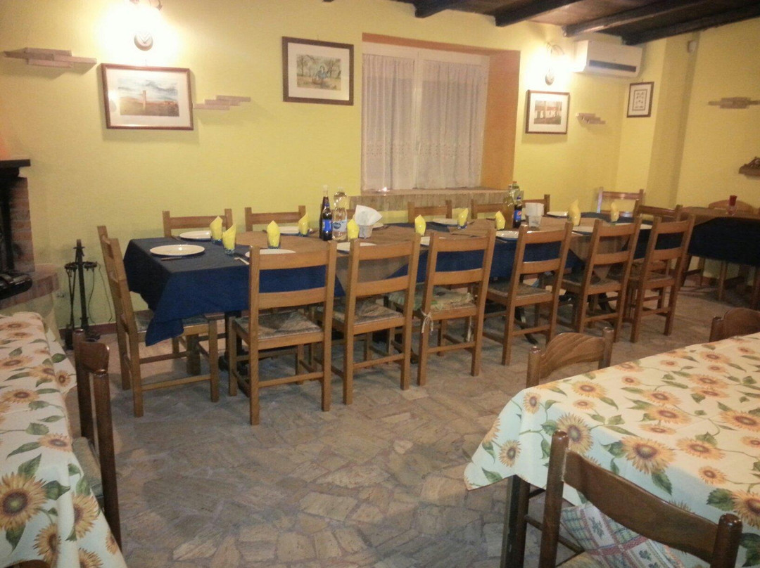 All’Ombra del Gelso