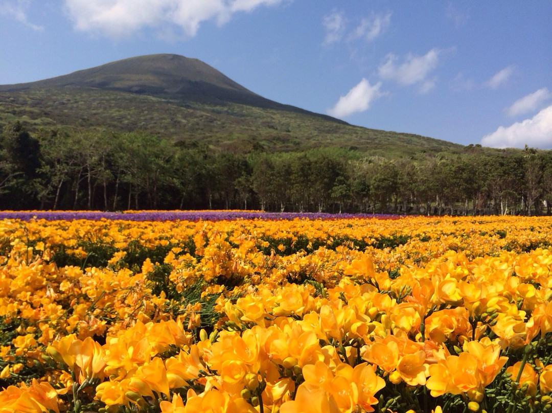 八丈岛旅游攻略图片