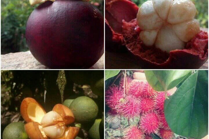 Kajol Lavan Travel, Mainland Ecuador-基多必去景点