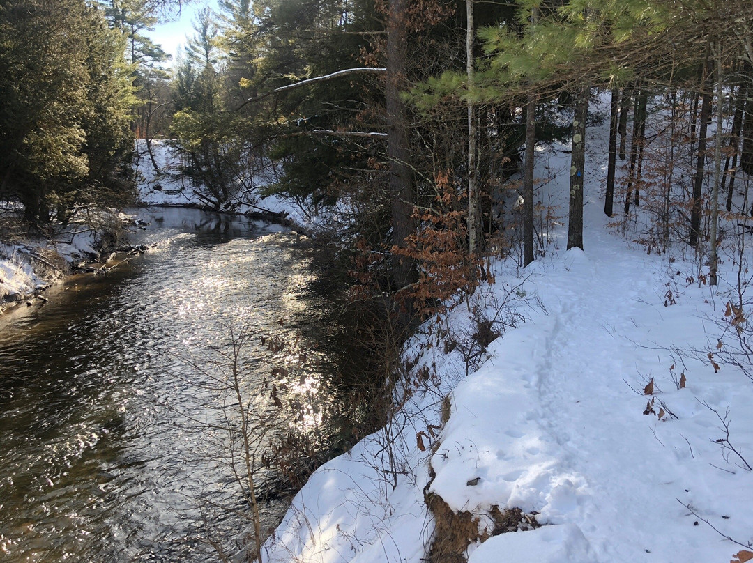 Pine River Paddlesports Center景点图片