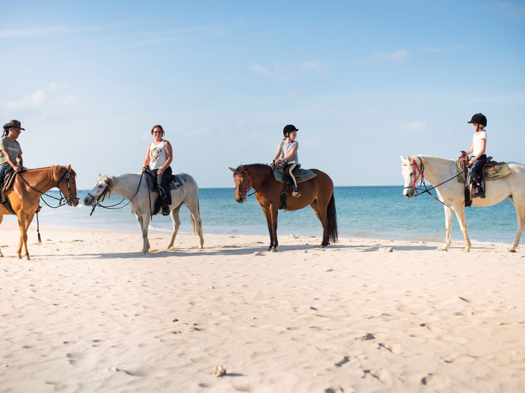 Pirates Bar Horse riding-兰塔岛必去景点