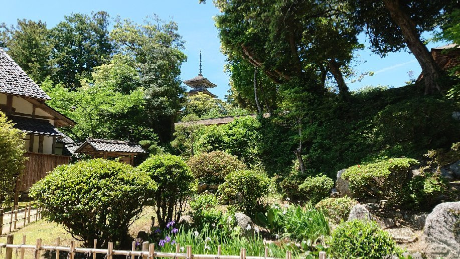 Myojo-ji Temple景点图片