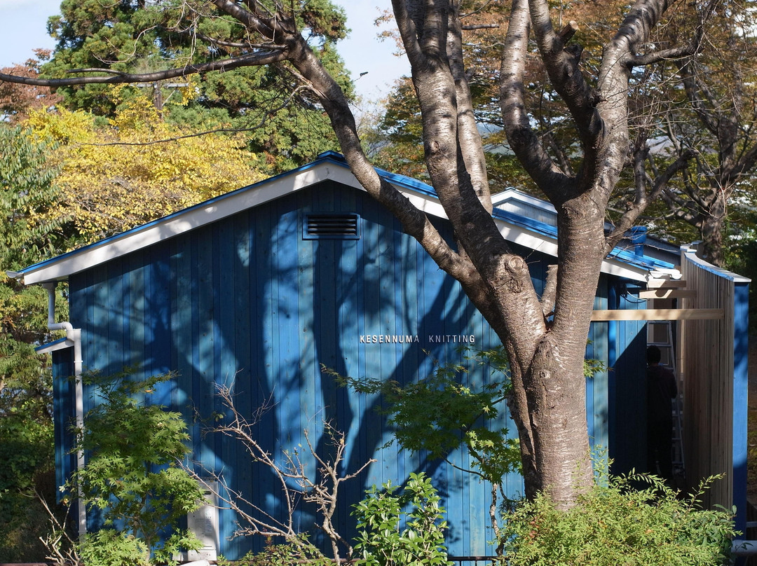 Kesennuma Knitting-气仙沼市必去景点