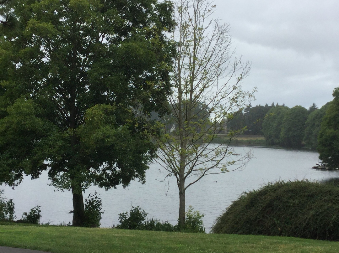 Waverly Lake Park景点图片