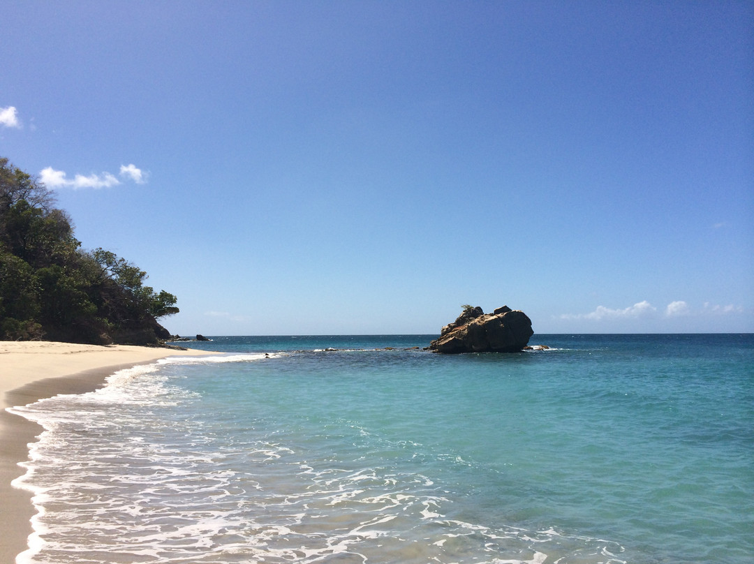 Isle of Reefs Tours - Day Tours景点图片