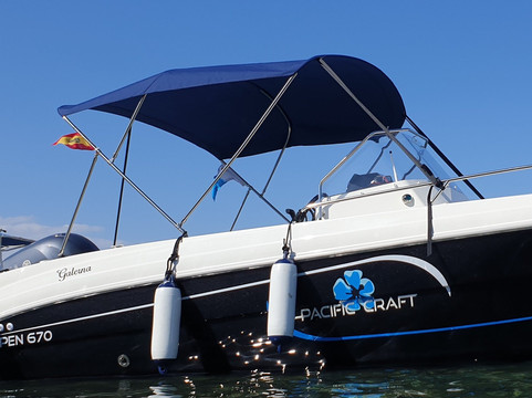 Elena Losa Rodríguez