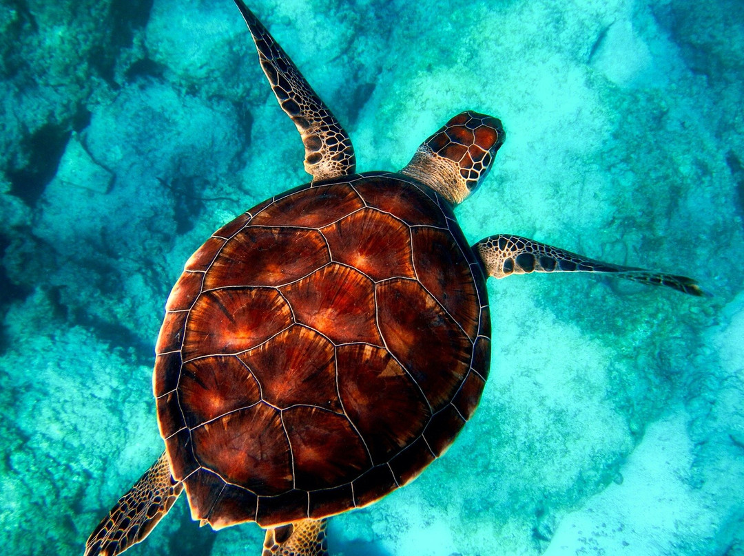 Ceylon Hunt-赛杜瓦必去景点