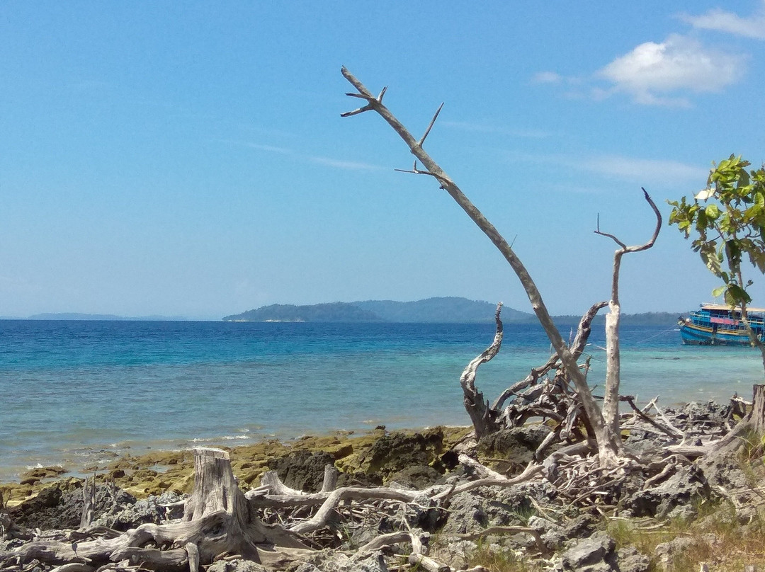 Sanjib Elephanta Trekking Shop
