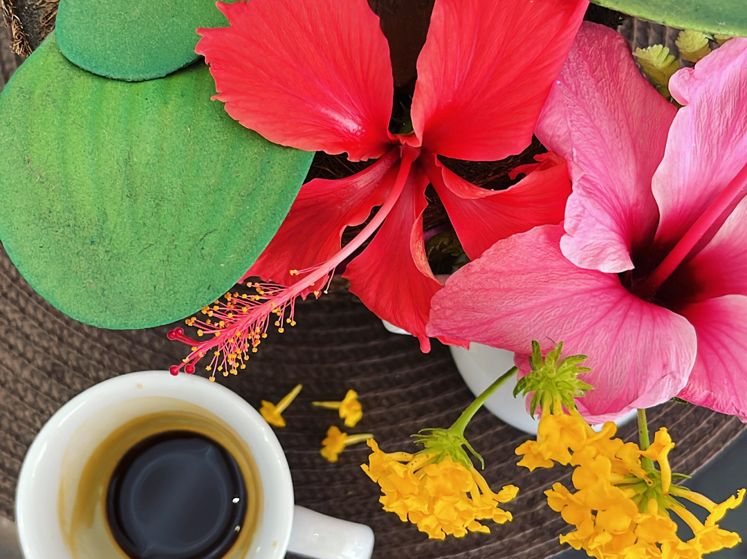 Artesanalle Café & Co