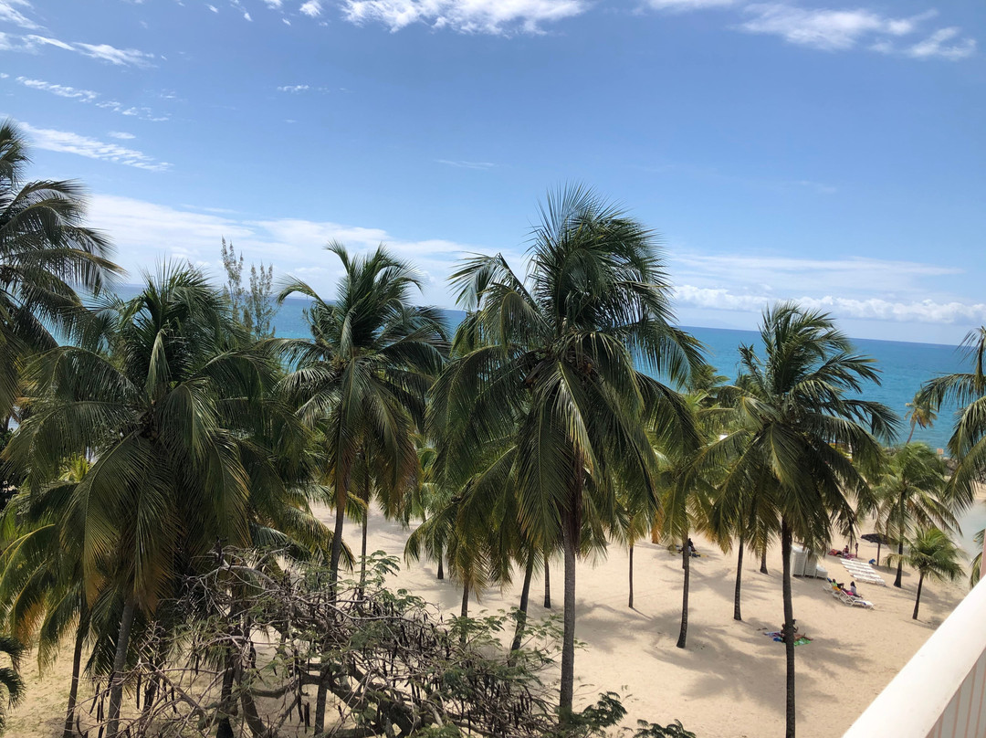 Zenitude Le Salako主图