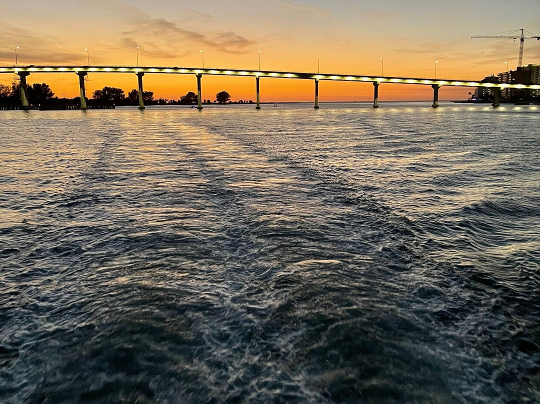 The Tropics Boat Tours-克利尔沃特必去景点