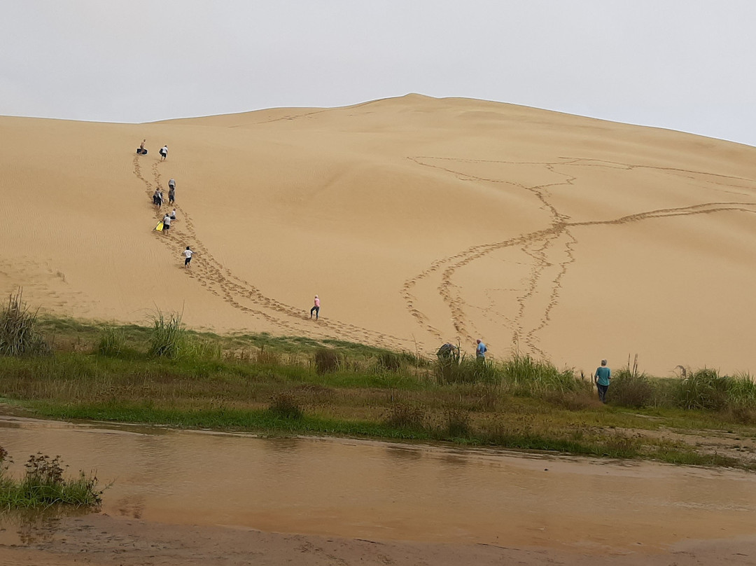 Te Paki Sand Dunes景点图片