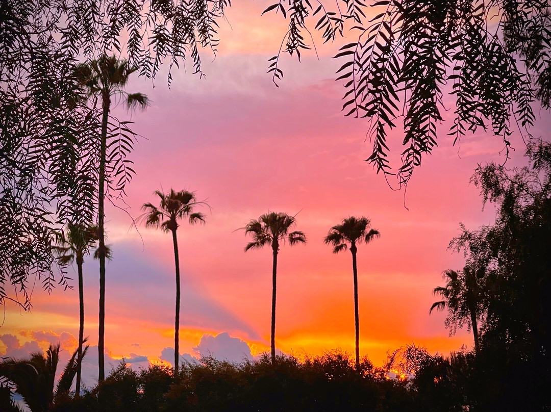 Laguna Beach Pirate Tower-拉古纳海滩必去景点