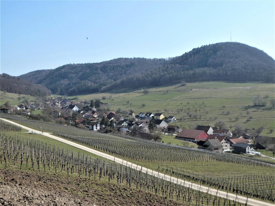 Bergtrotte Osterfingen-Wilchingen必去景点